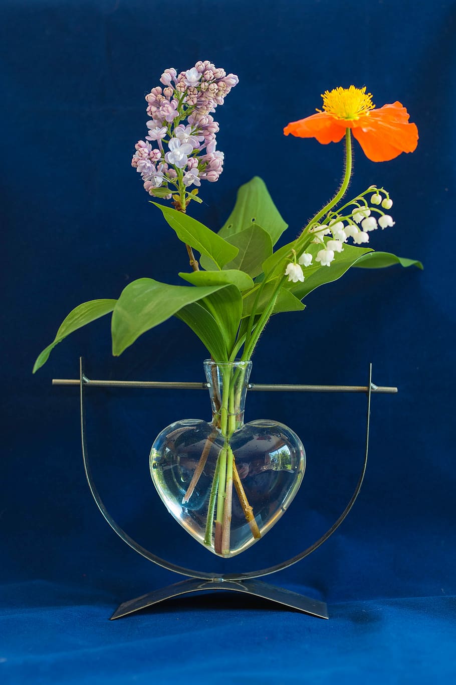 verde, folheado, planta, limpar, vaso de vidro, Flores, vaso, Floral, Composição, composição floral