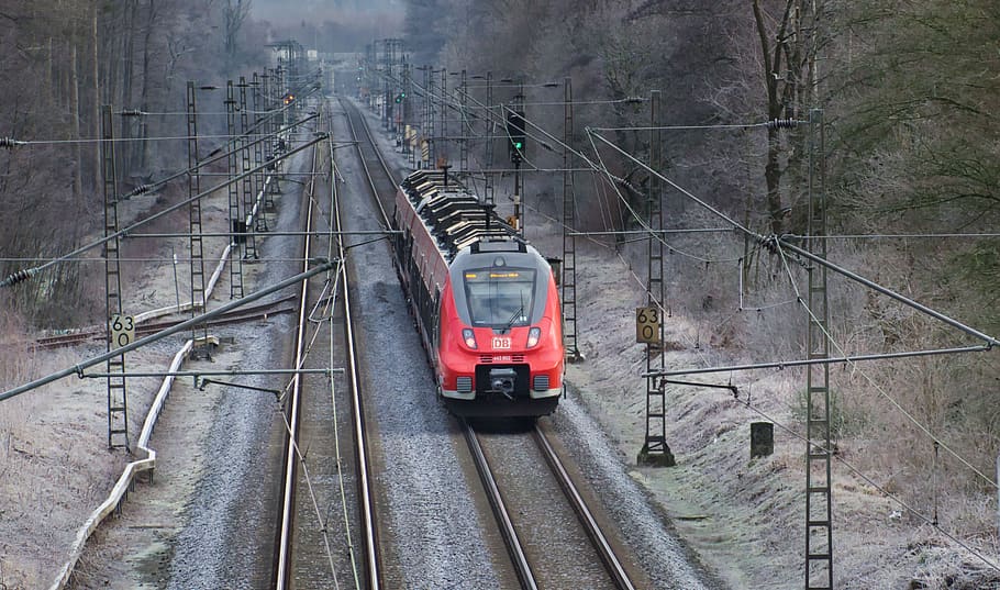 train, morning, transport, regional-express, winter, frost, railway, catenary, railroad track, rails