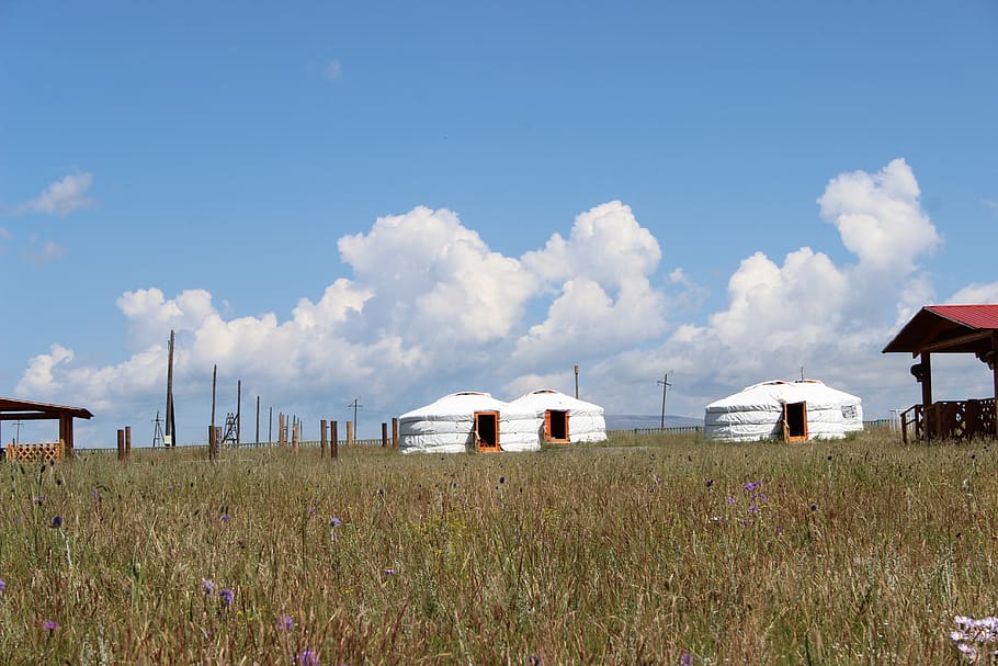 ger, yurt, nomadic, sky, cloud - sky, land, built structure, field, architecture, grass