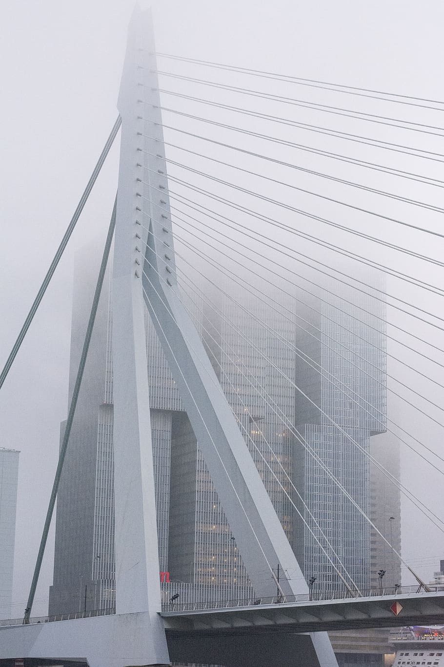 Fog, Rotterdam, Erasmus Bridge, bridge, swan, river crossing, new mesh, water, erasmus, mesh