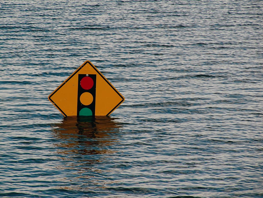 yellow, road signage, surrounded, body, water, sign, stoplight, board, red, green