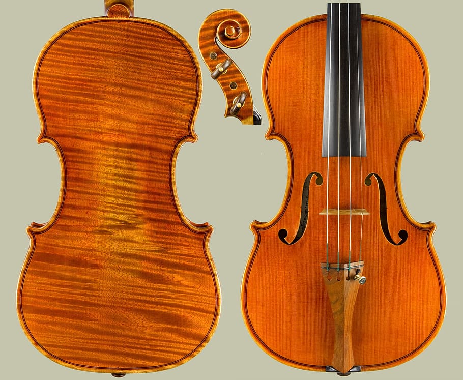 brown violin, violin, italian, instrument, roberto regazzi, music, artistic, craftsmanship, wooden, bolognese