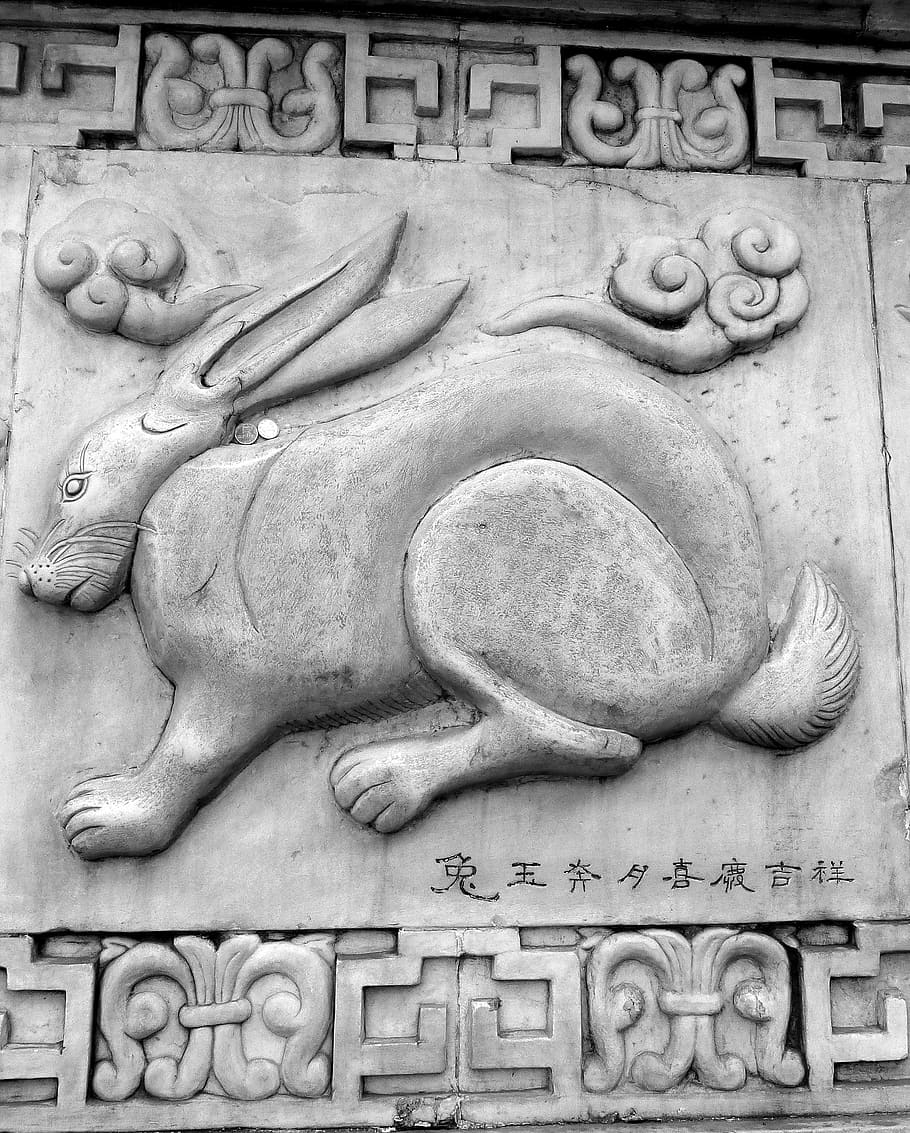 마오, 토끼, 중국, 중국말, 석조물, 돌, 조각, 삽화, 고대의, 역사적인