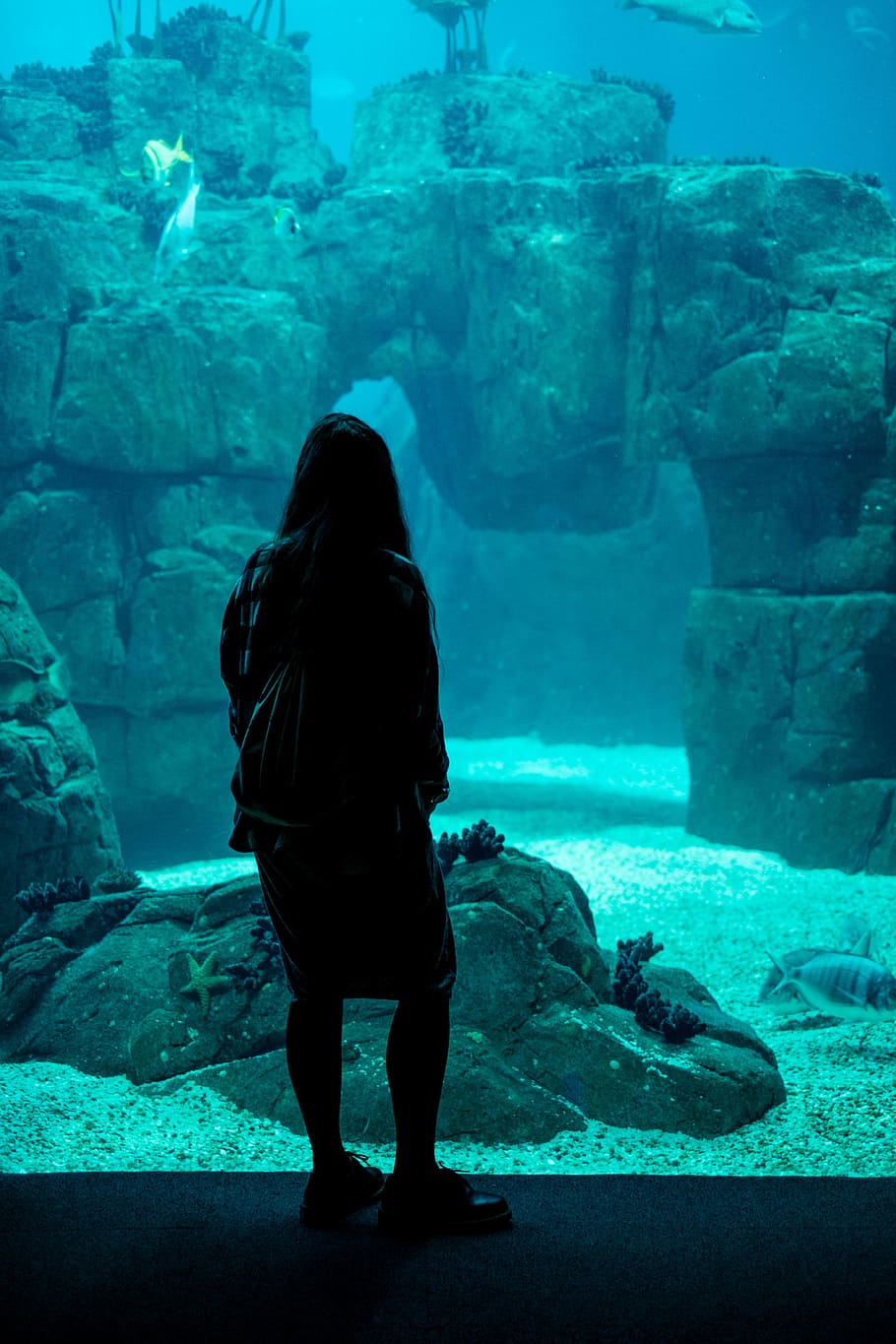 mulher, em pé, aquário gigante, peixe, corais, estrela do mar, areia, azul, água, rochas