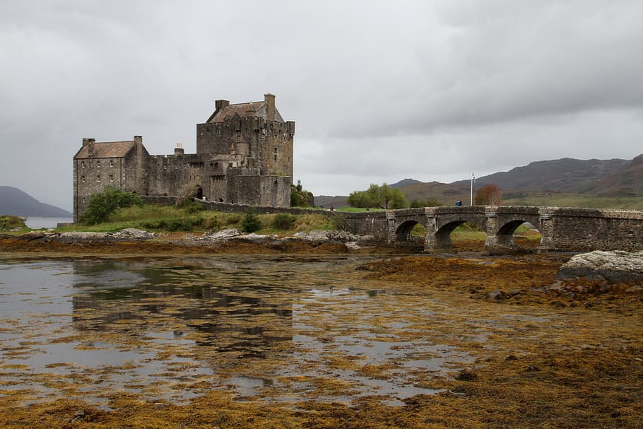 grey, castle, body, water, surrounded, trees, Eilean Donan Castle, Ancient, medieval, highlands