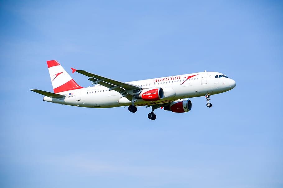 avión, jet, austríaco, volando, airbus, a320, ala, viaje, vuelo, avión de pasajeros