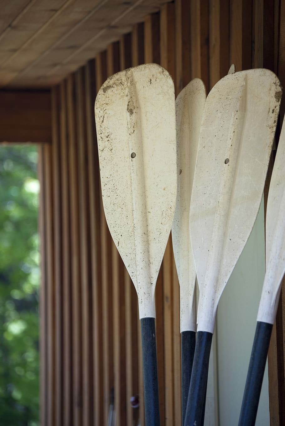 Oars, Canoe, Paddle, Recreational, summer, nature, outdoors, canoeing, kayak, water