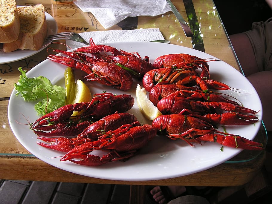 lagosta cozida, lagosta, alimentos, cozinha, cozinhado, crustáceo, prato, preparado, ferver, cozinhar