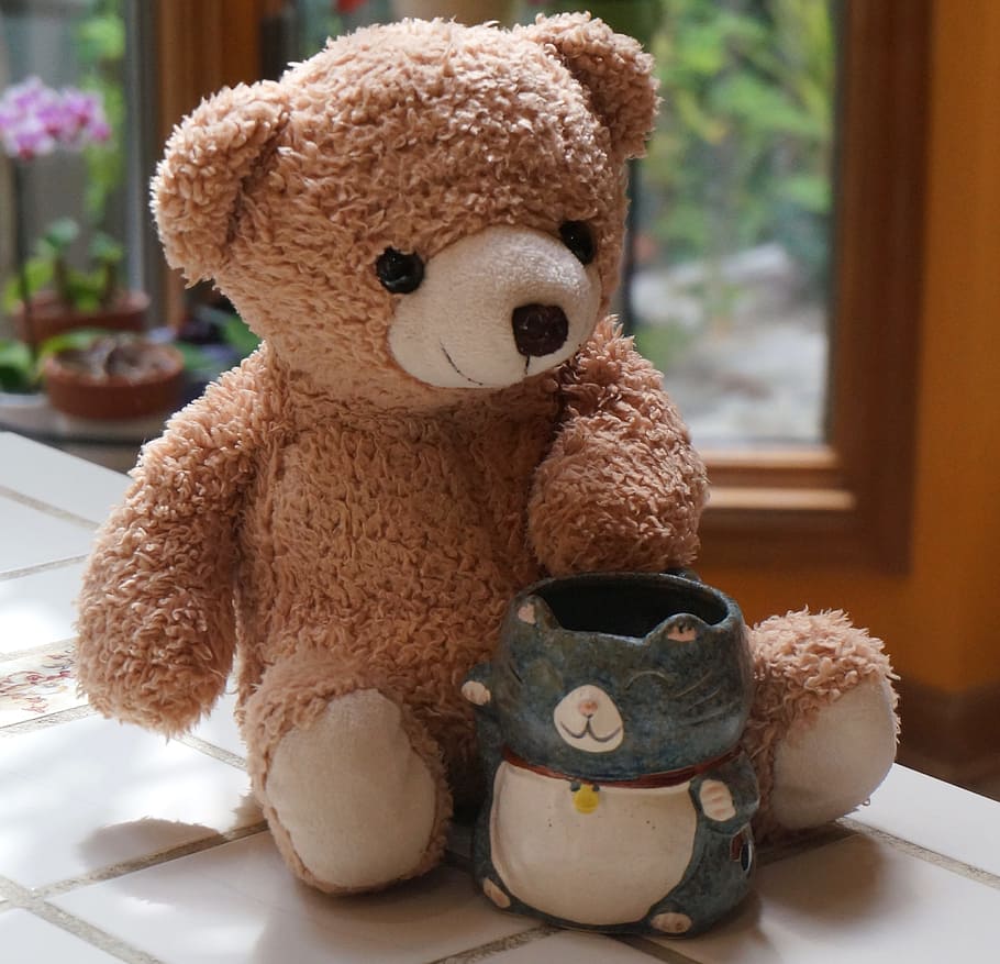 Old, Teddy Bear, Mug, Toy, old teddy bear with mug, stuffed animal, kitty mug, cute, handmade, craft