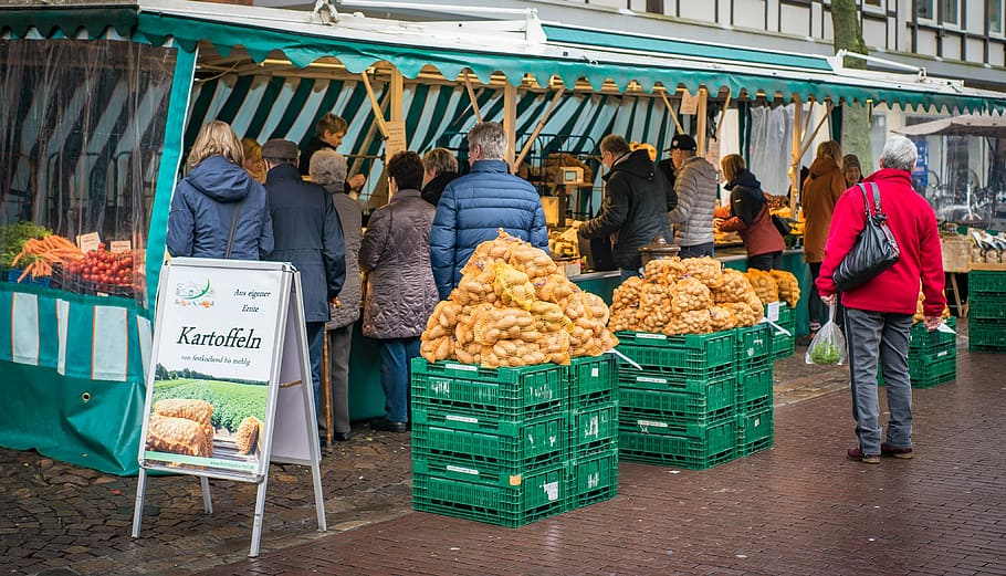 poster pasar kartoffeln, petani pasar lokal, kentang, makanan, sehat, pertanian, tanaman baru, pasar, kentang muda, nutrisi