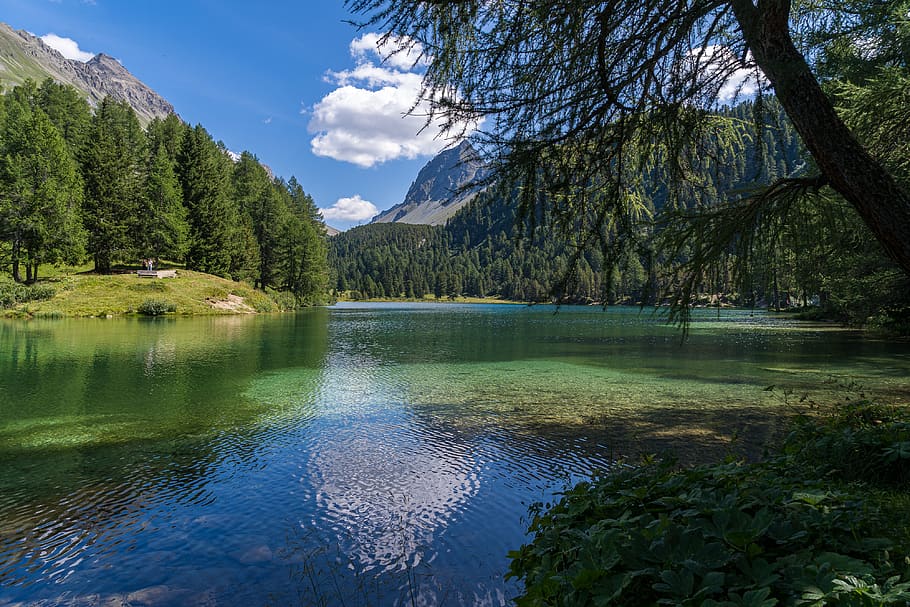bergsee, albula, switzerland, lembah albula, lai dal puenga, pemandangan, alam, alpine, musim panas, langit