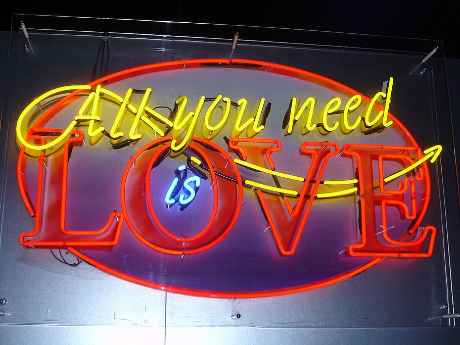 Neon, Love, Logo, Letters, neon letters, in love, text, restaurant, fast food, diner