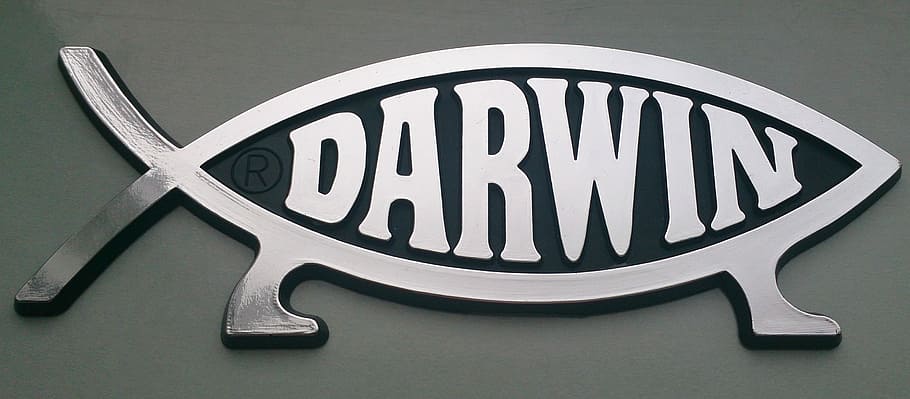 gray, darwin fish logo, Darwin, Atheist, Religion, close-up, time, clock face, day, minute hand