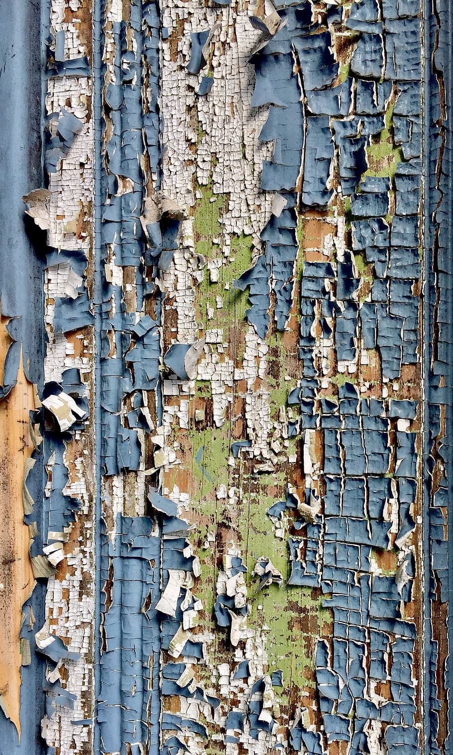 Paint, Crackle, Texture, Cracked, grunge, surface, old, crack, rough, rustic