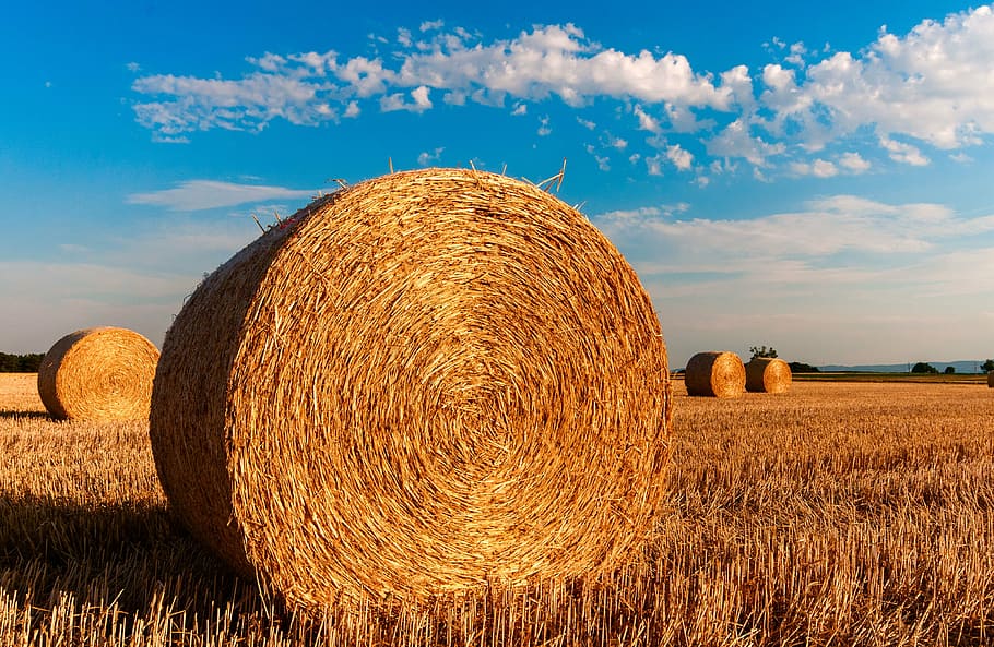 roll of hay, straw bales, stubble, agriculture, summer, straw, harvested, clouds, straw rent, bale