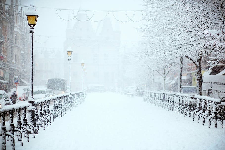 bridge, trees, snow, mini, city, near, tower, winter, white, cold