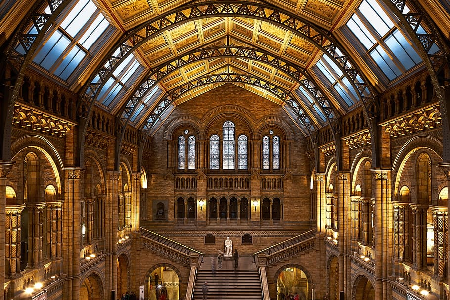 beige concrete cathedral, building, interior, architecture, inside, natural history museum, london, columns, pillars, statue