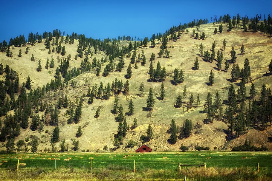 montana, ranch, farm, rural, mountains, trees, landscape, scenic, nature, outside