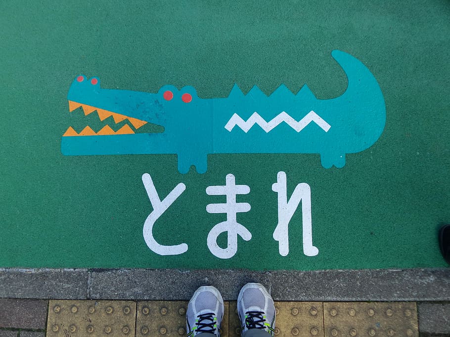 Pavement, Crocodile, Drawing, Stop, Sign, stop, sign, japan, text, communication, green color