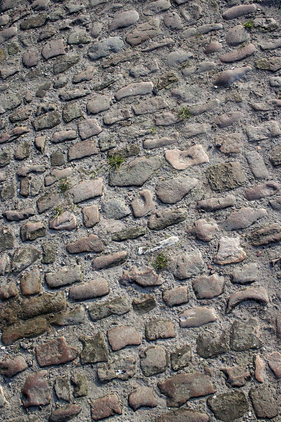 Cobblestones, Stones, Texture, Sidewalk, grey, paving, old, paved, path, footpath