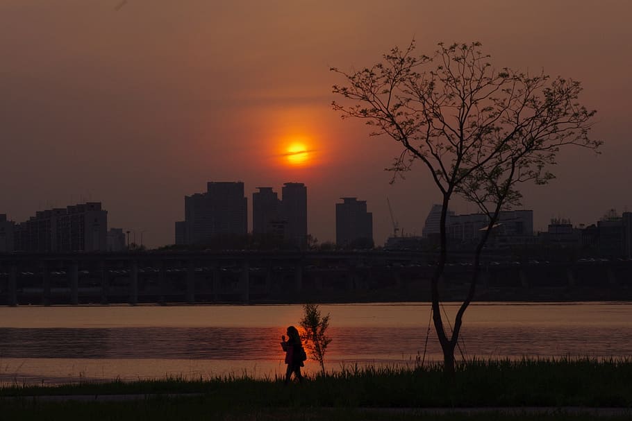 Sunset, Work, Glow, In The Evening, cuti, siluet, orang, alam, senja, di luar rumah