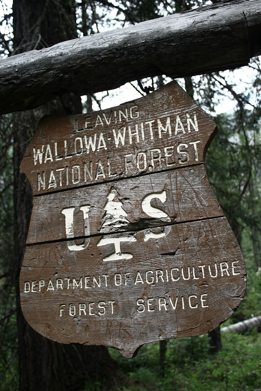 national, forest, sign, tattered, worn, park, nature, landscape, green, natural