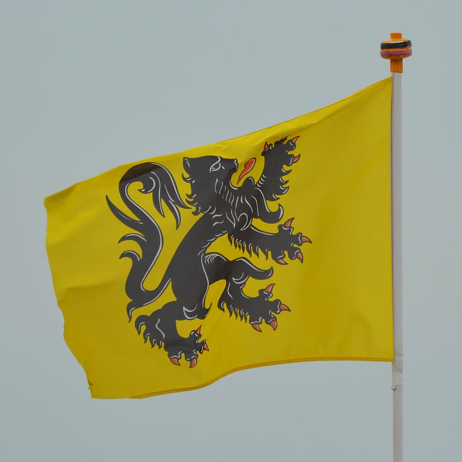 flag, flemish lion, flanders, yellow, studio shot, representation, pattern, nature, patriotism, animal representation