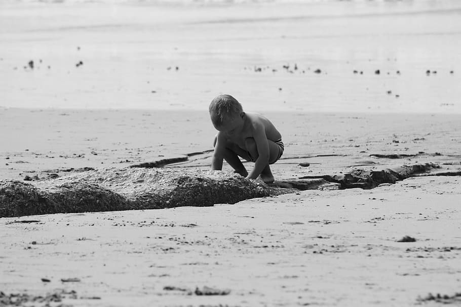 조사, 놀이, 모래, 해변, 발견, 모래에서 놀기, 아이의 기쁨, 놀기, 땅, 바닷가