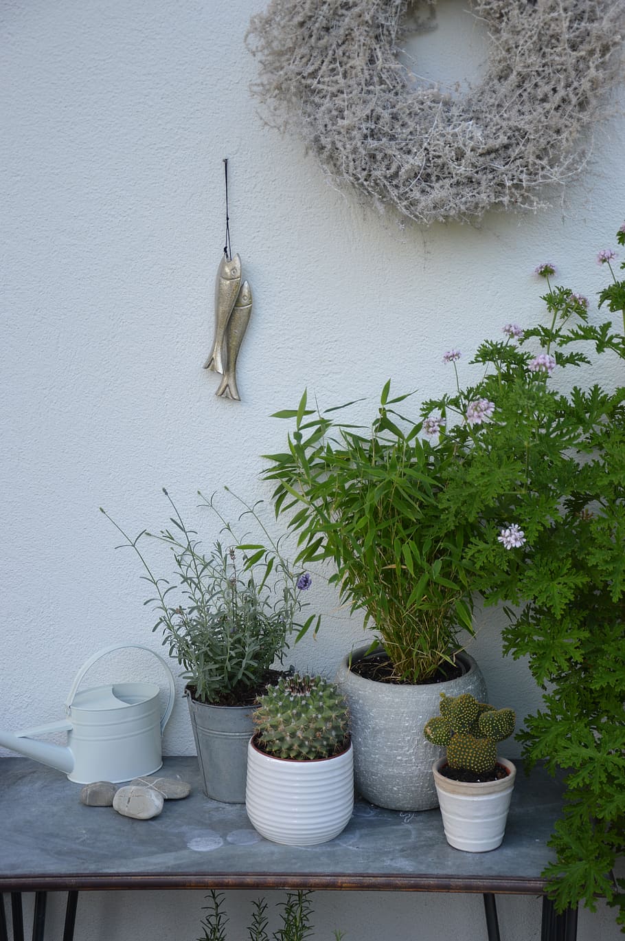 of course, different, residential feel, live, garden, terrace, flowers, green, grey, fish