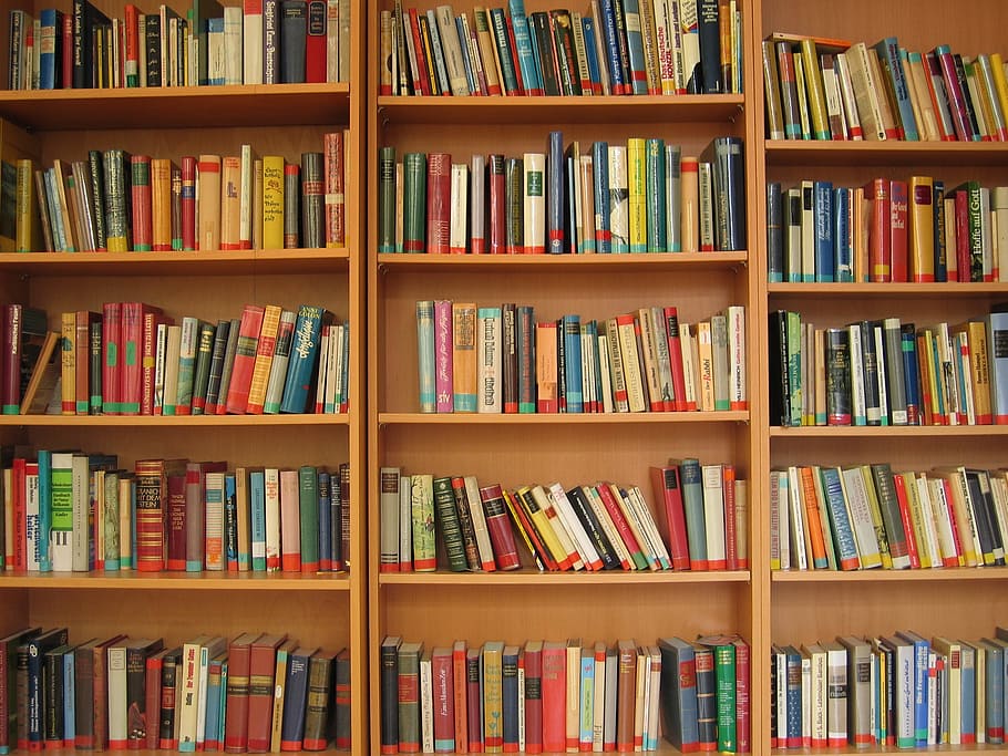 盛り合わせ, 学習, 書籍, 茶色, 木製, 本棚, 本, 読む, 文学, 棚
