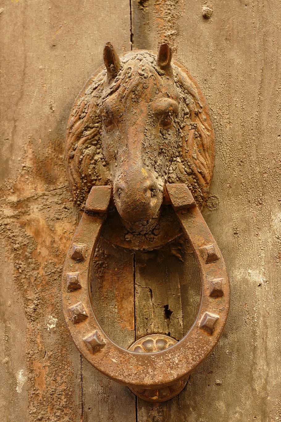 knocker, door knocker, horse, horse's, now, wood, weather-beaten, old, antique, cast iron