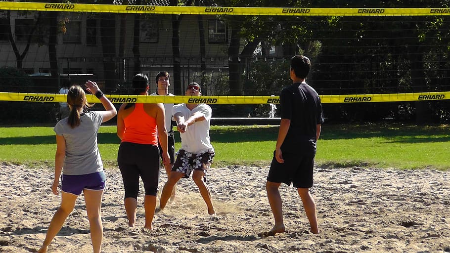 people, playing, volleyball, field, sport, ball, play, beach volley, play ball, human