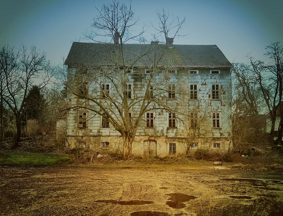 blue, concrete, house, surrounded, leafless trees, daytime, gray, abandoned, old, building