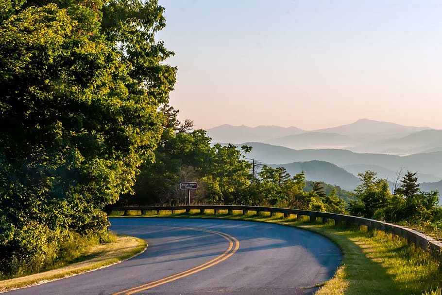 trees, asphalt road, daytime, asphalt, road, america, appalachia, appalachians, asheville, august