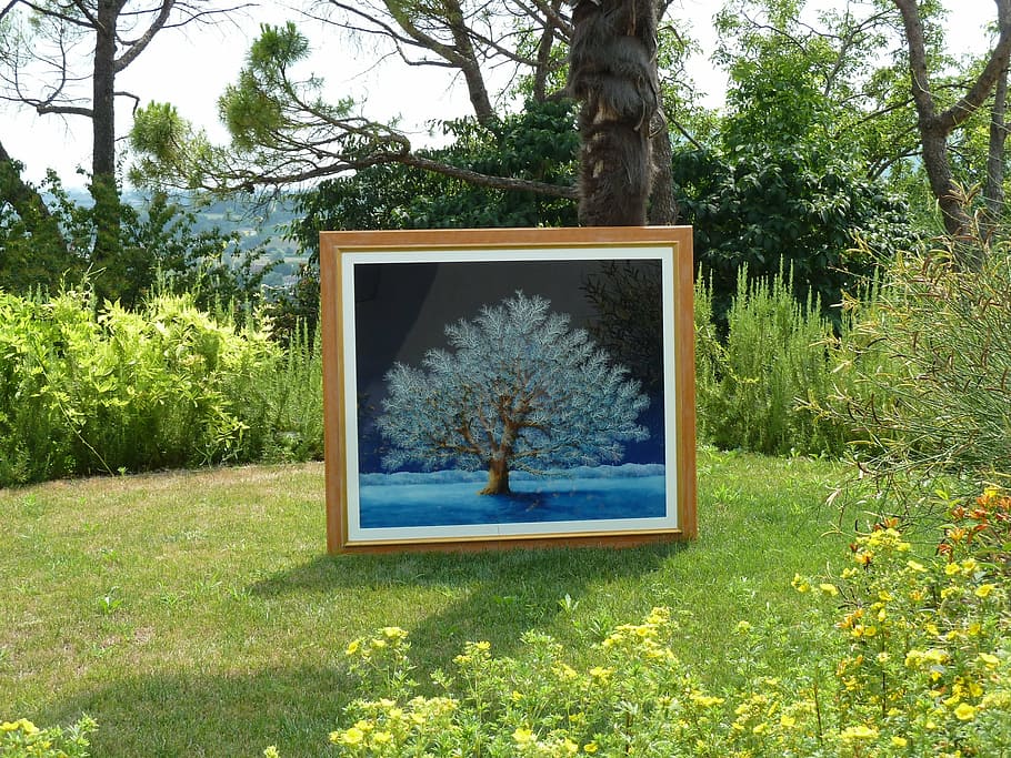 oak blue, carlo busellato, oil on plexiglas, plant, tree, nature, growth, day, grass, land