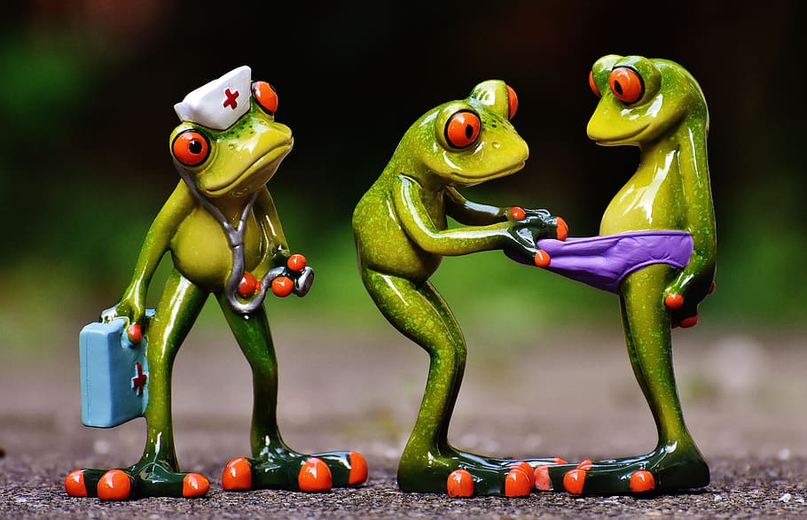 closeup, three, frogs figurines, frogs, figurines, emergency, figures, funny, curious, search