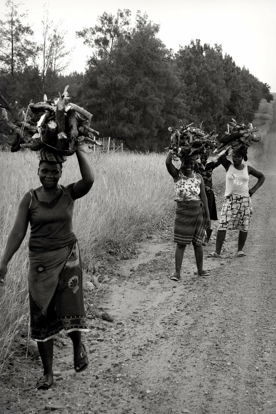 grayscale photograph, four, women, carrying, firewood, africa, south africa, african women, women carrying wood, black And White