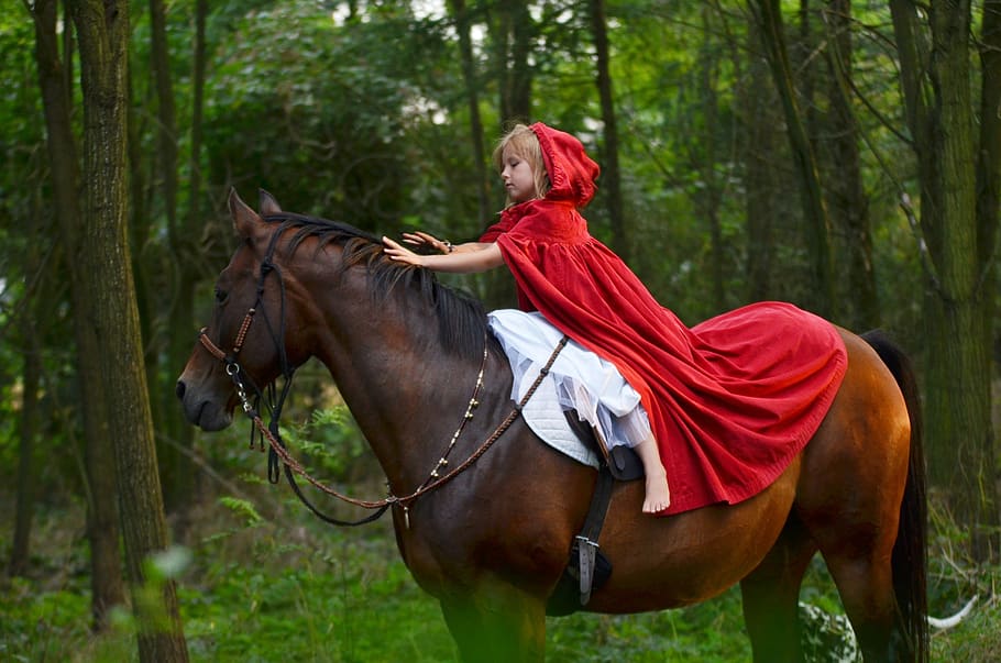 caballo, naturaleza, bosque, encantado, equino, caperucita roja, capucha roja, cuento de hadas, cuento, historia