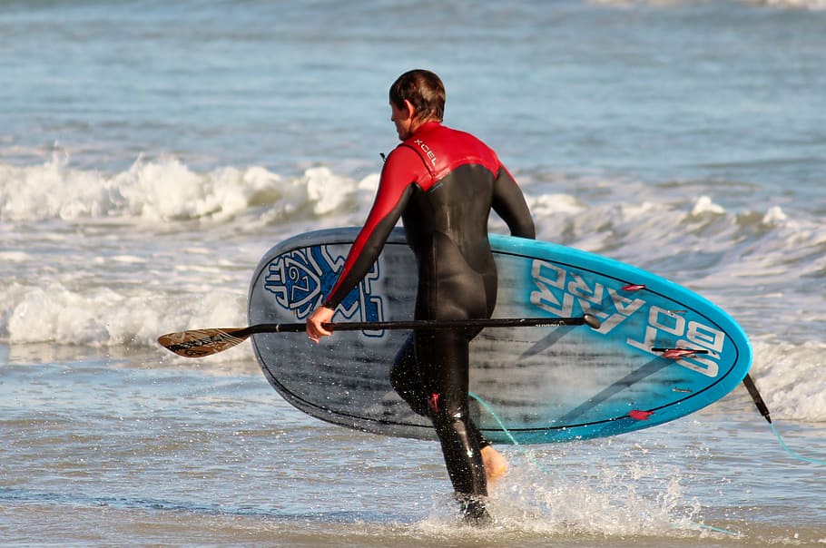 hombre llevando paddleboard, surfista, remo de pie, mar, playa, tabla de surf, mojado, deporte, traje de neopreno, remo