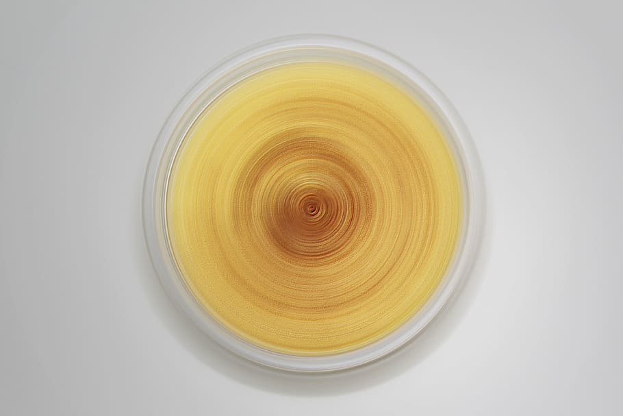 vortex, swirl, geometric shape, circle, shape, close-up, indoors, yellow, studio shot, directly above