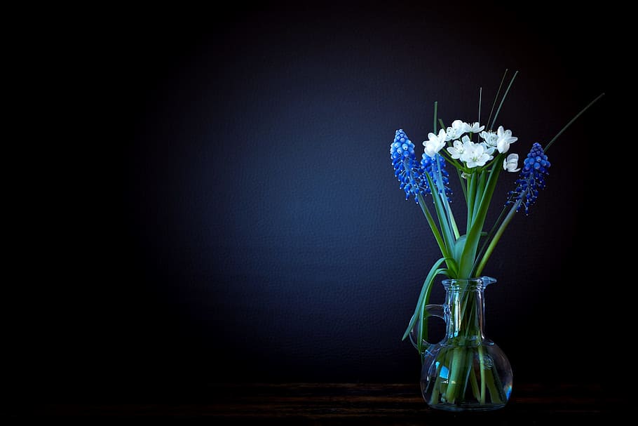 white, blue, grape hyacinth flower centerpiece, flowers, vase, glass, leek flower, hyacinth, muscari, spring flowers