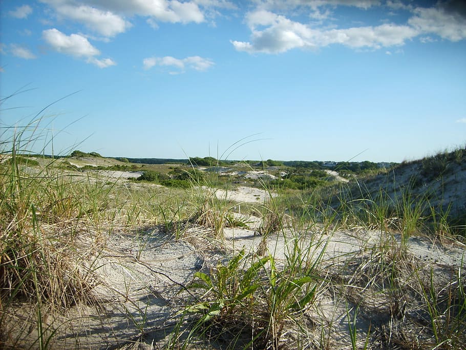 cape cod, massachusetts, Sand Dunes, Cape Cod, Massachusetts, dunes, photos, grass, landscape, masssachusetts, public domain