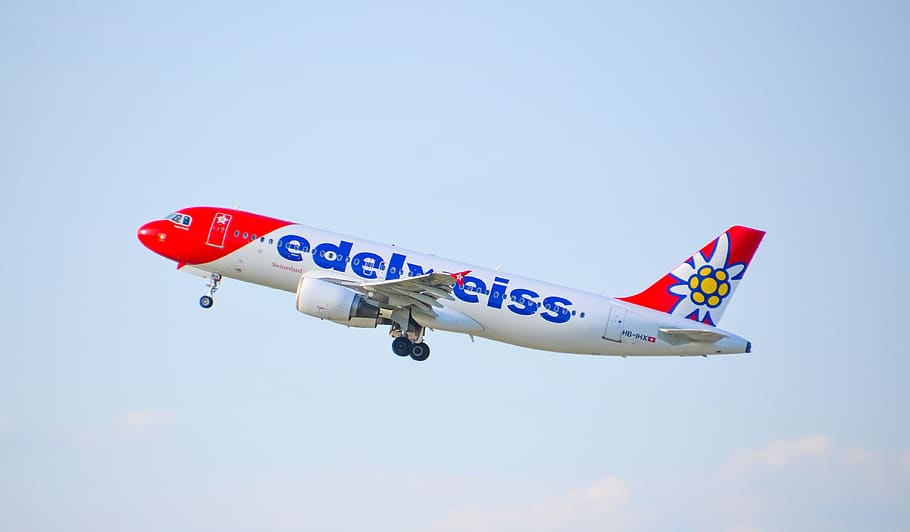aircraft, jet, edelweiss, travel, airbus, a320, flight, vacations, holidays, departure