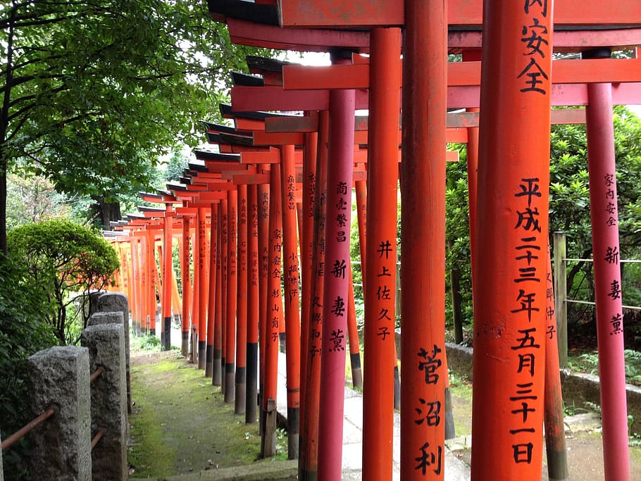japan, tokyo, ueno, shrine, torii, nezu shrine, building, religion, place of worship, spirituality