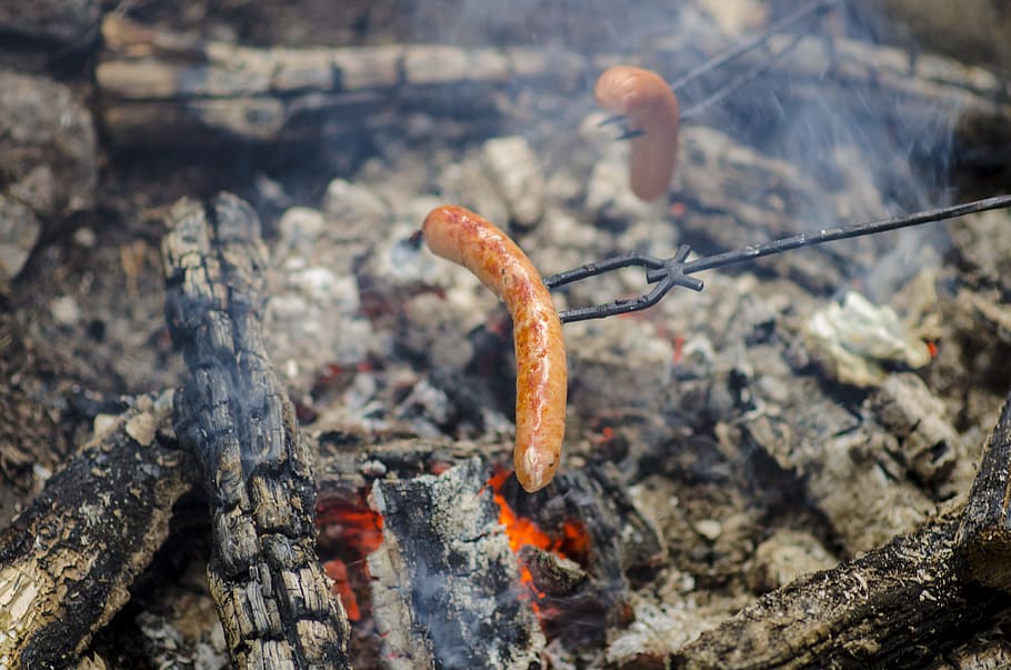 sausage, fire, grilling, glow, cozy, outdoor, småland, nature, burning, day