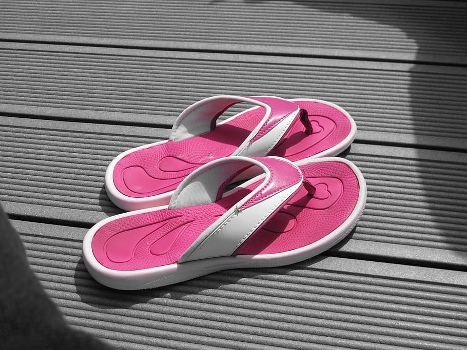 Lplpol Beagle Bay Light Blue Flip Flops Flip Flops for Kids and Adult Unisex Beach Sandals Pool Shoes Party Slippers 