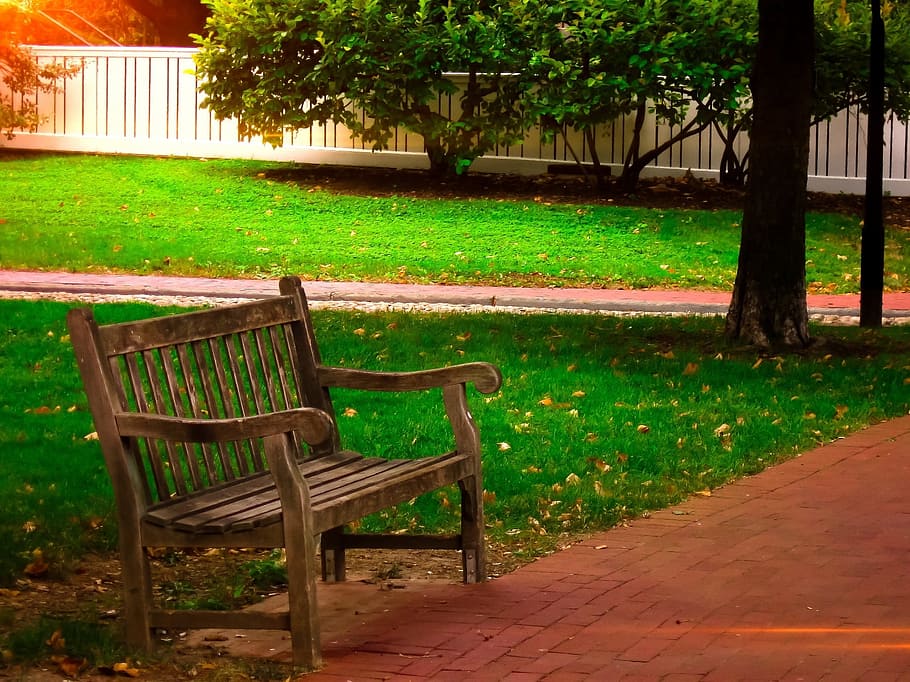 brown, wooden, bench, park, park bench, outdoor, lawn, grass, trees, shade