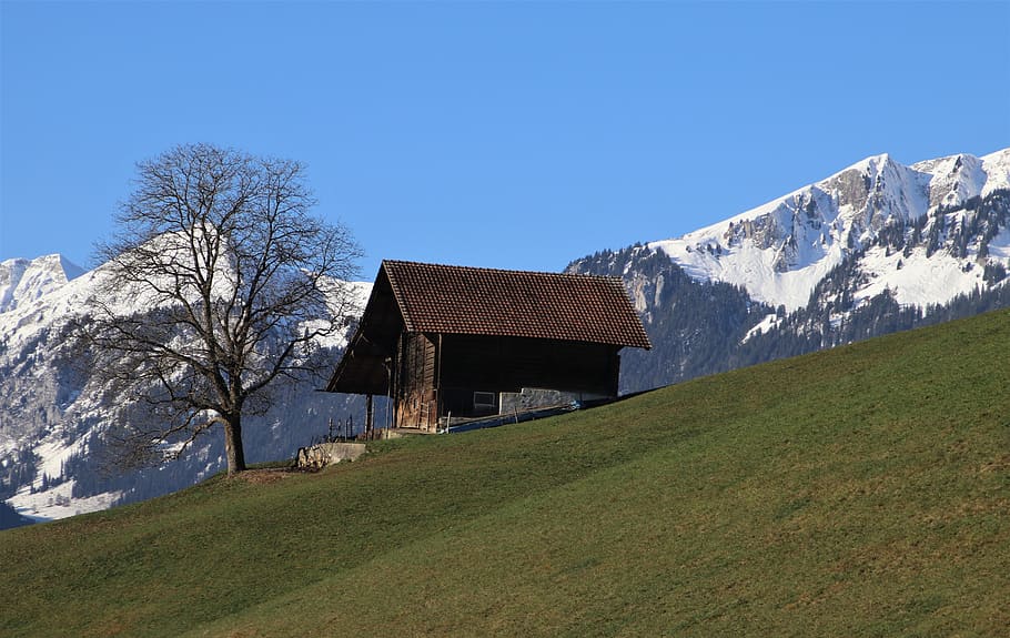 pegunungan Alpen, salju, rumah di pegunungan, alpine, curam, topi, pondok, gunung, switzerland, Lihat