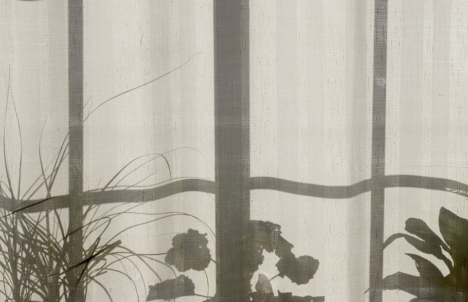 house, home, plants, curtain, window, shadow, textile, day, sunlight, nature