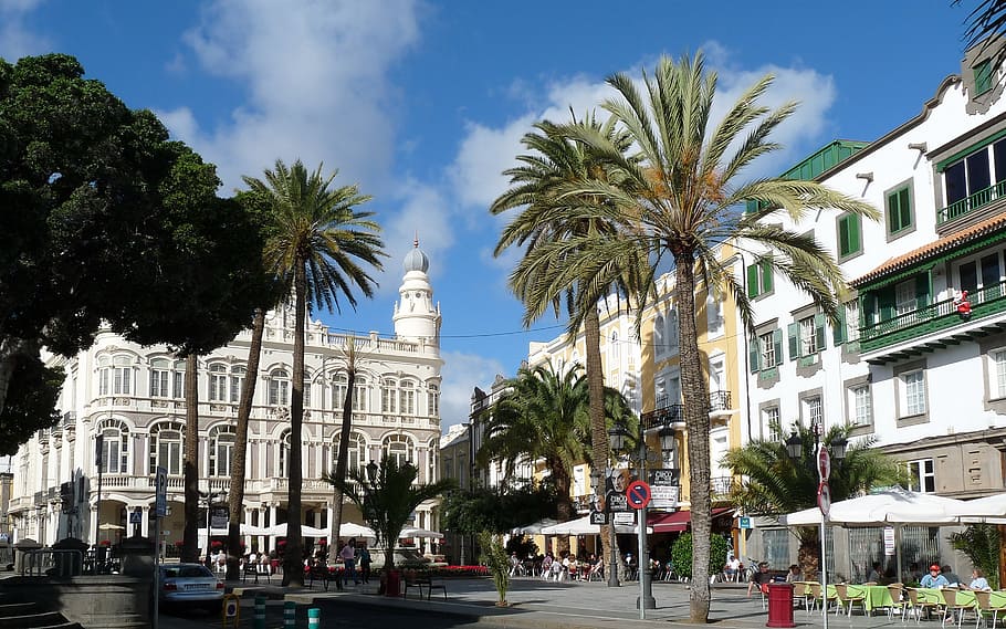 trees, building structures, gran canaria, city, spain, holiday, architecture, palm Tree, famous Place, tourism